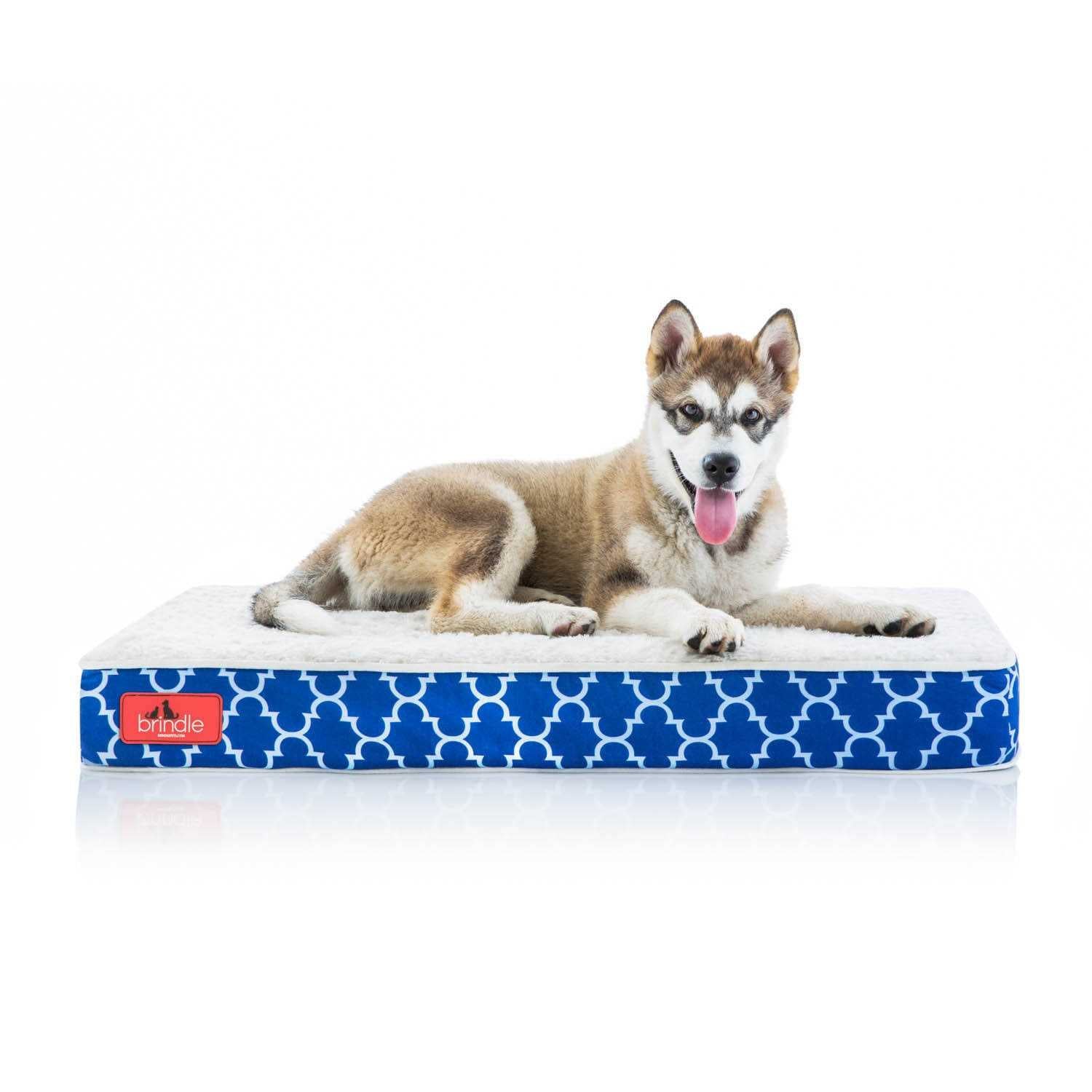 Waterproof Memory Foam Pet Bed B436