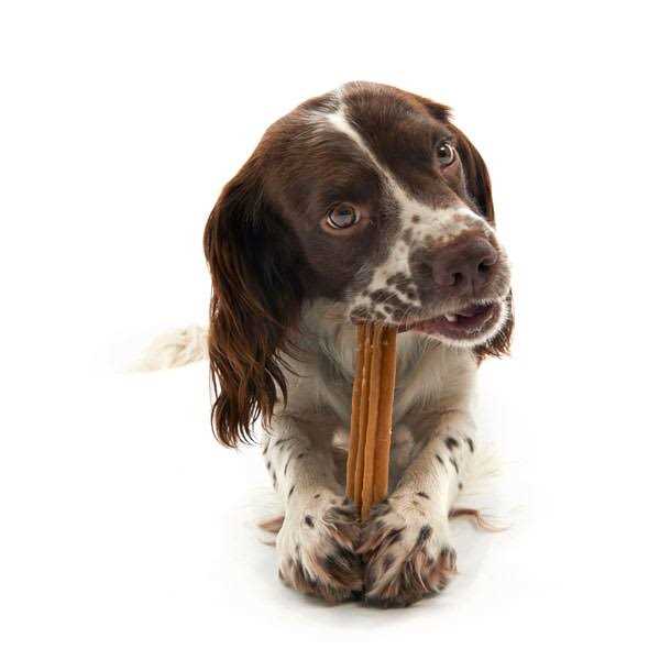 Dental Dog Treats Stix P2320