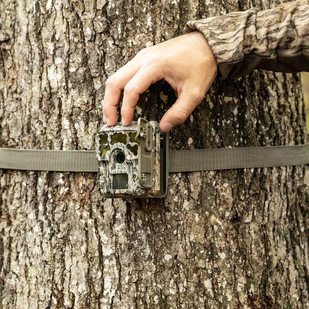 42MP Trail Camera Kit, 2-Pack S460