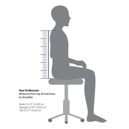 Spinal Back Support F599