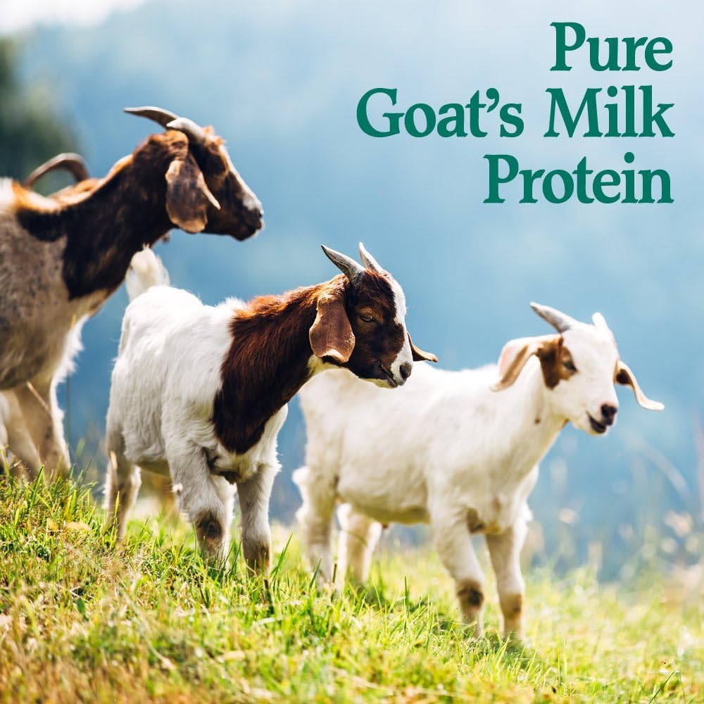 Goat Milk Protein Powder, 13g Protein per Serving, Gluten Free, 22 Servings R623