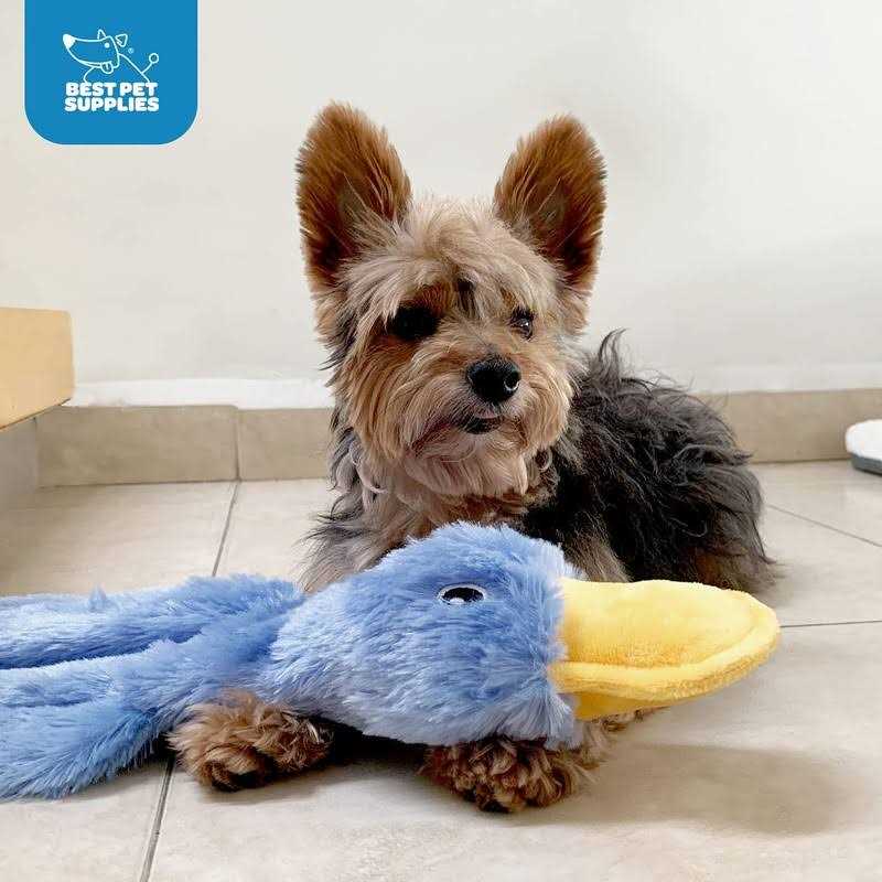 Crinkle Dog Toy for Small, Medium, and Large Breeds, No Stuffing Duck with Soft Squeaker H711222