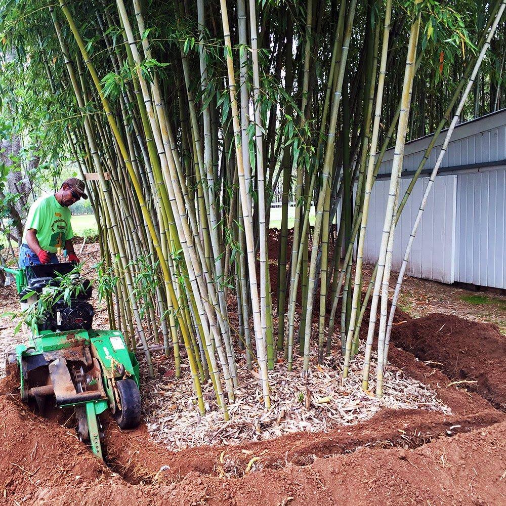 Bamboo Root Barrier 75 ft x 24 in x 60 Mil I4116