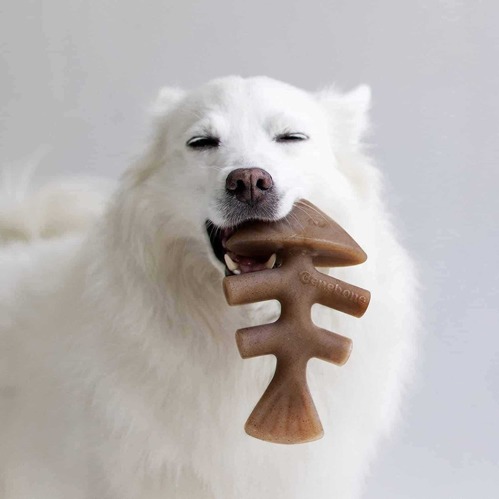 Fishbone Dog Chew Q944