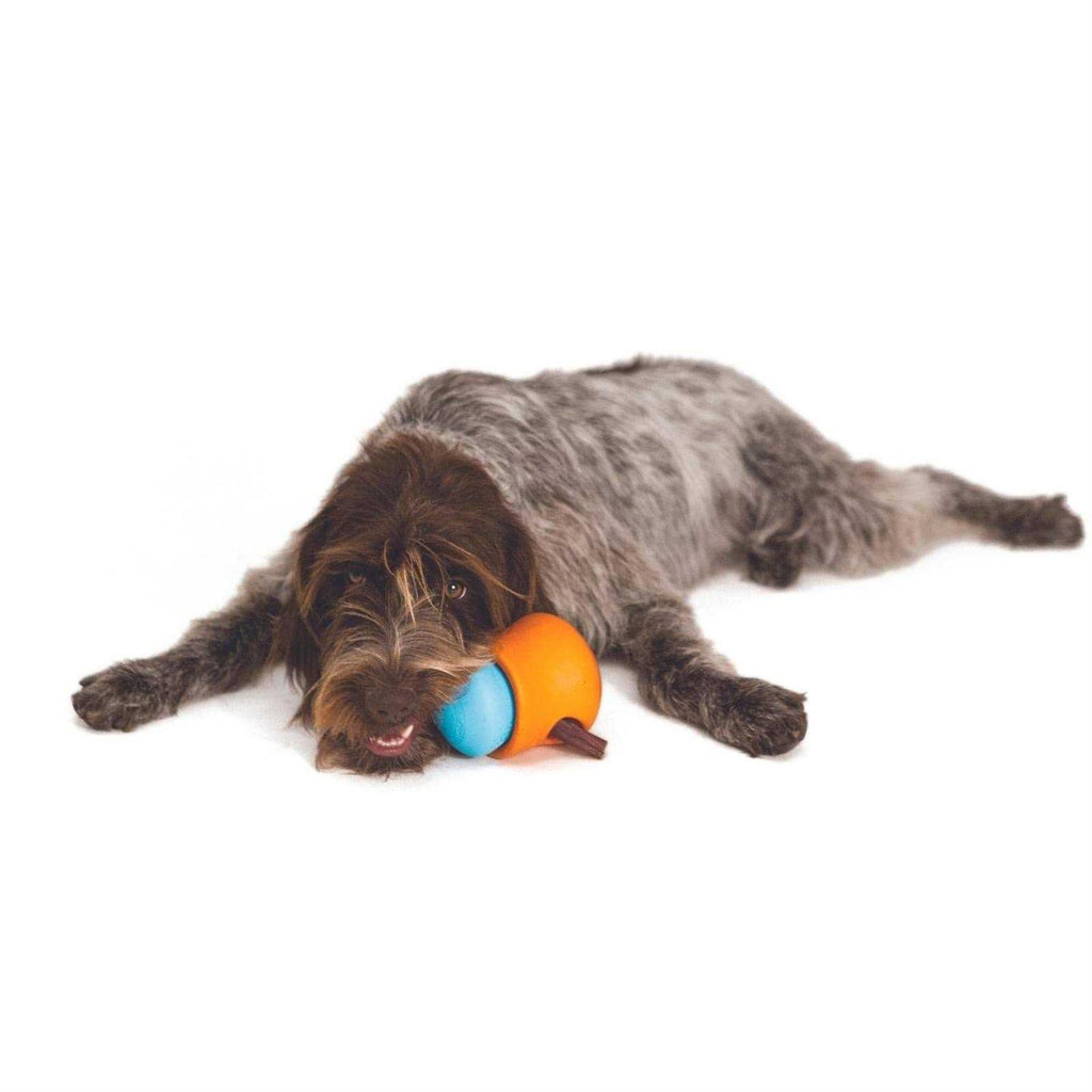 Dog Toy X752