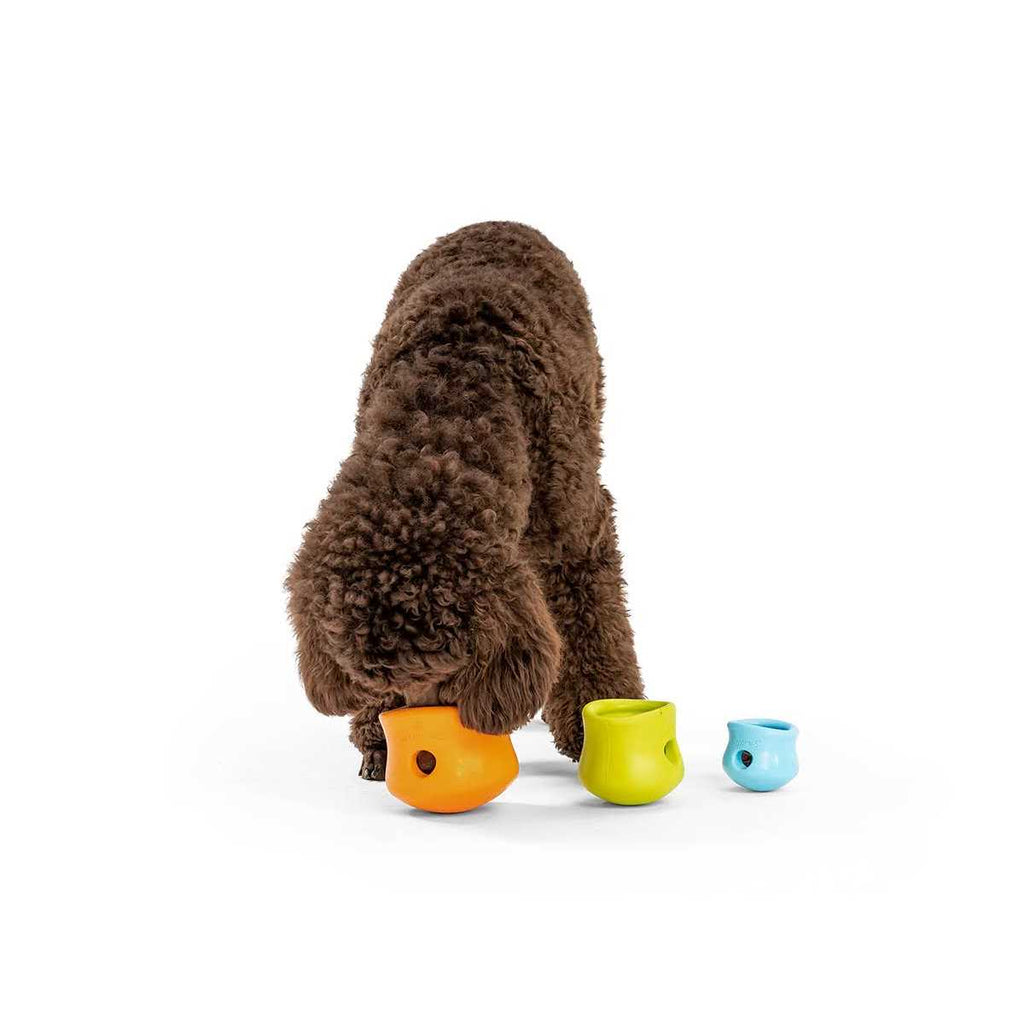 Dog Toy X752