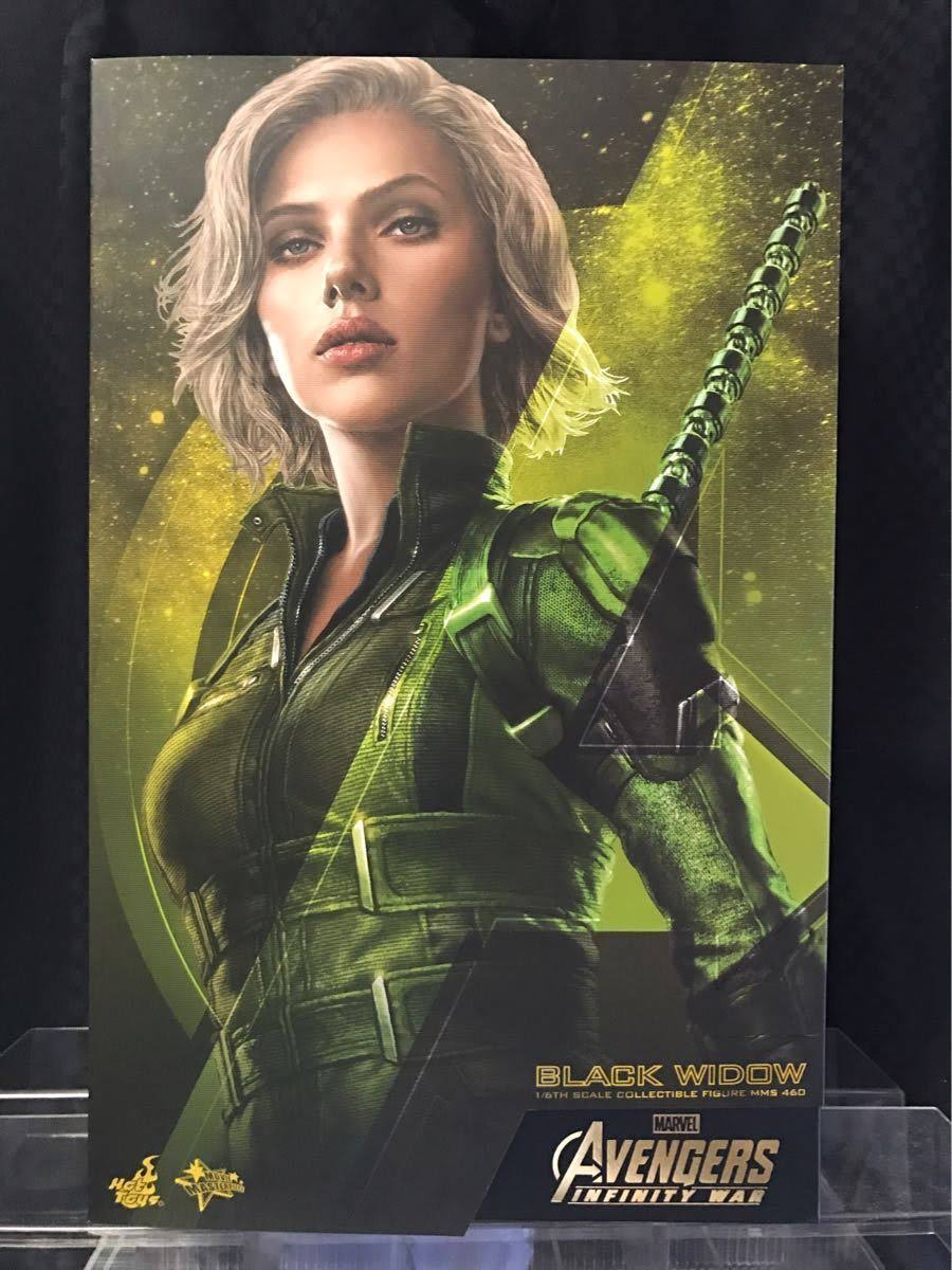 1/6 Scale Black Widow Action Figure F9579