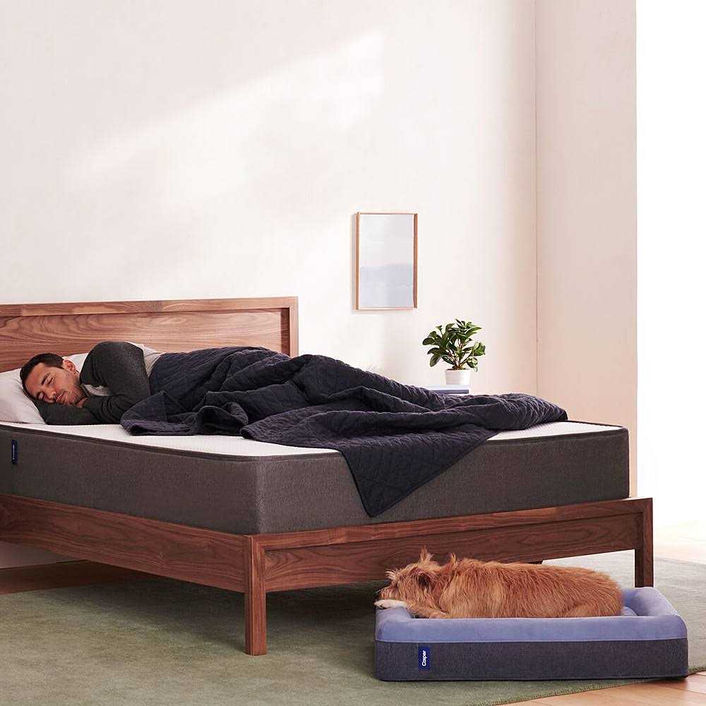 Dog Bed J307018
