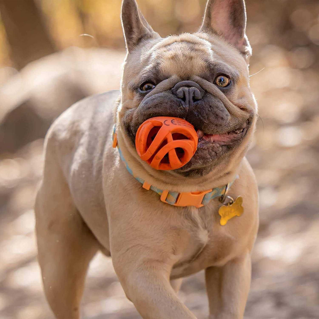 Breathe Right Fetch Ball for Dogs O767808