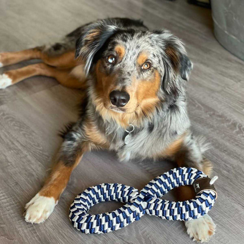 Braided Infinity Tug Toy for Dogs U6931