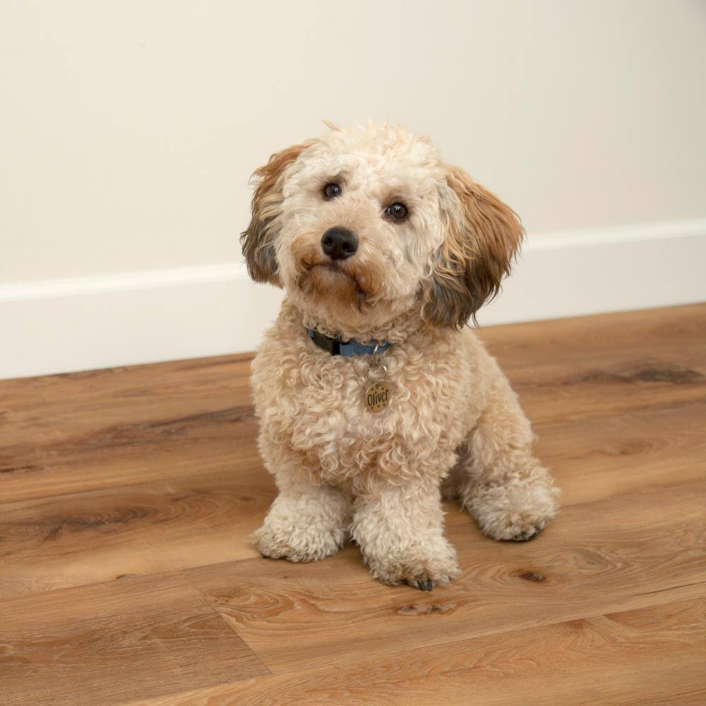 Vinyl Pro Waterproof Interlocking Flooring 26.62 sq ft H53454