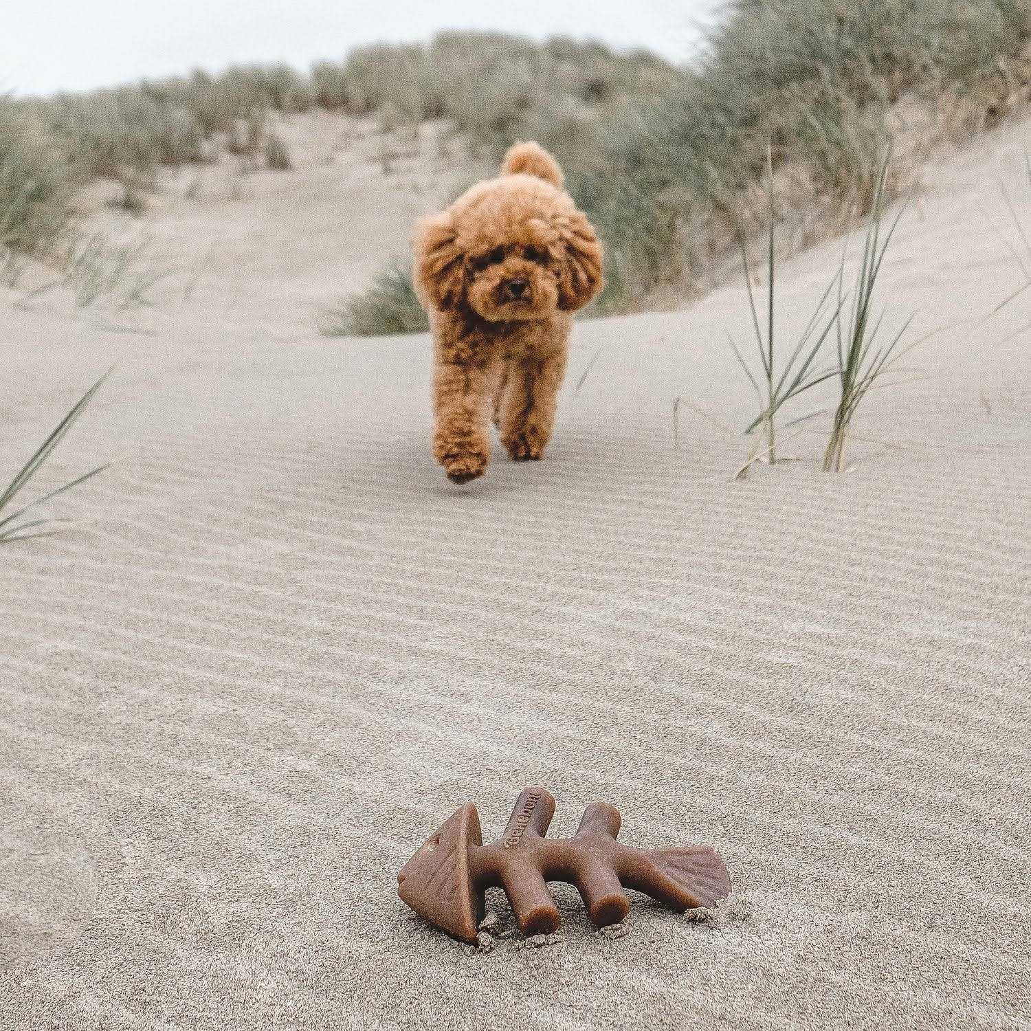 Fishbone Dog Chew Q944