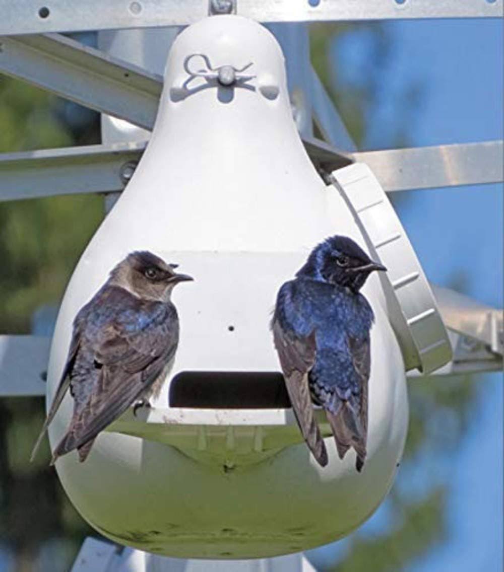 Purple Martin Vertical Gourd Bird House for Outside W79020