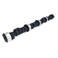 Lunati 10110703 Voodoo Hydraulic Camshaft