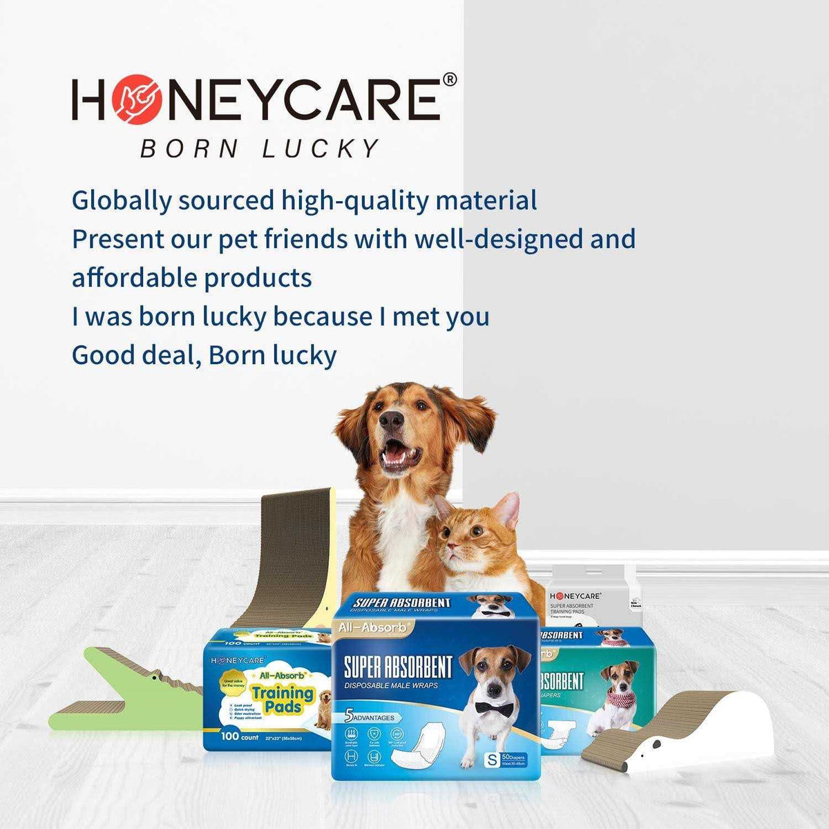 Male Dog Wrap H185