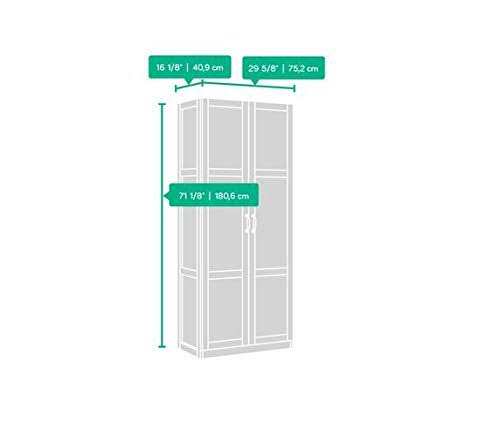 Storage Cabinet, 29.61 x 22 x 16.10 x 22 x 71.10 inches W676