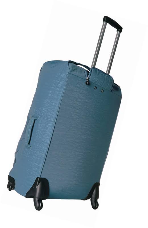Blue Bird L handbag V5815