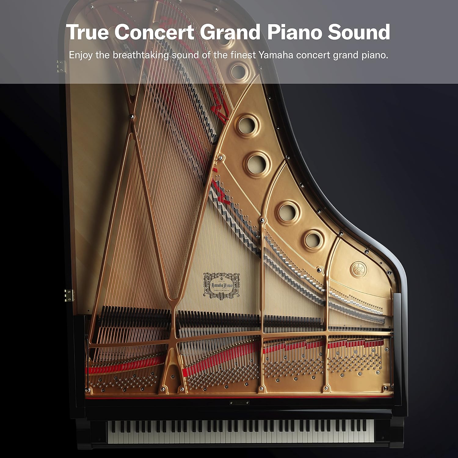 88-Key Weighted Digital Piano D649358