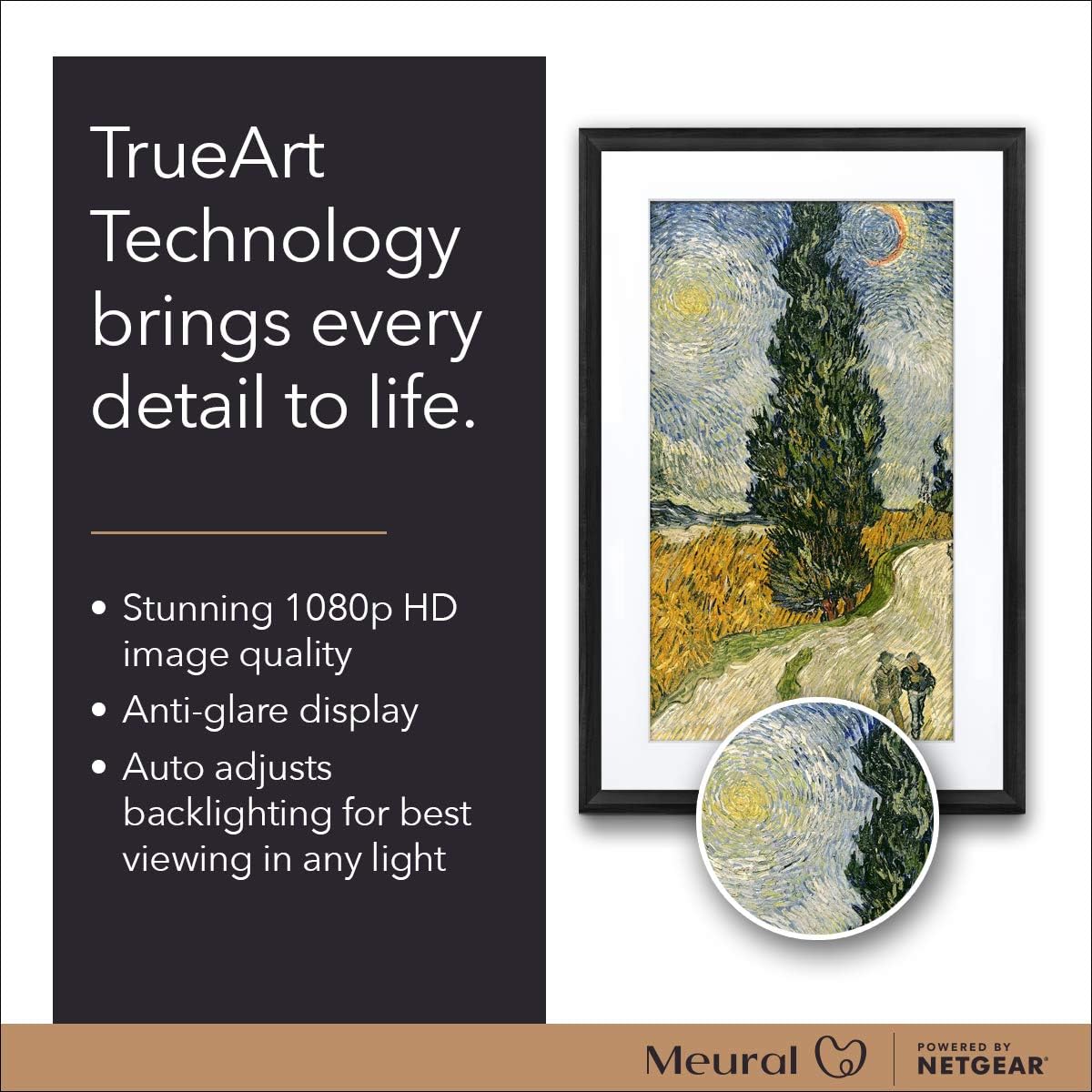 Smart Art Frame with HD Digital Canvas, 21.5 in, WiFi-Connected C50292