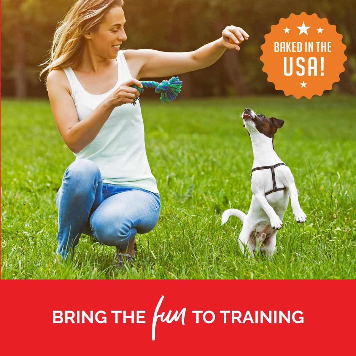 Training Bites Dog Treats Z830