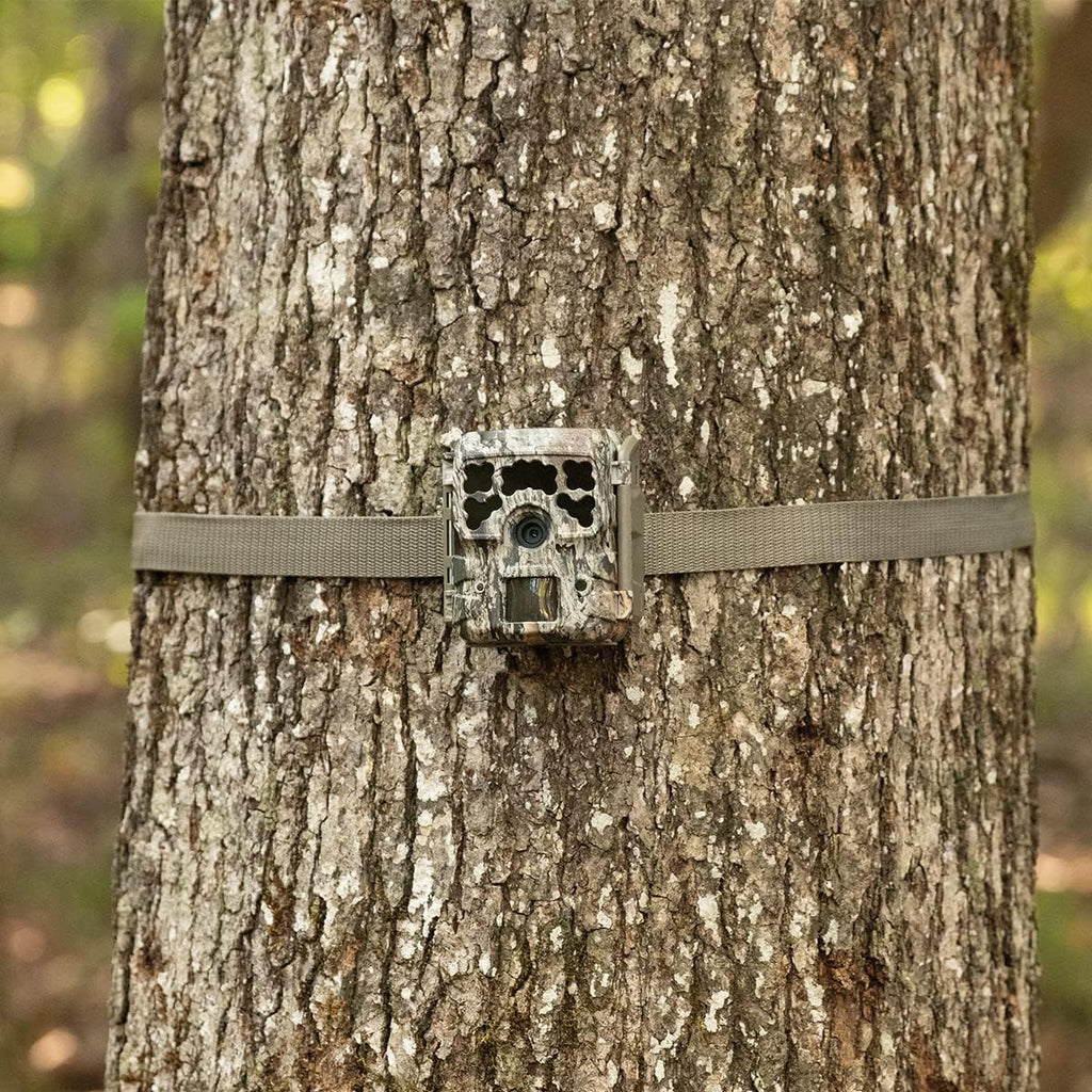 42MP Trail Camera Kit, 2-Pack S460