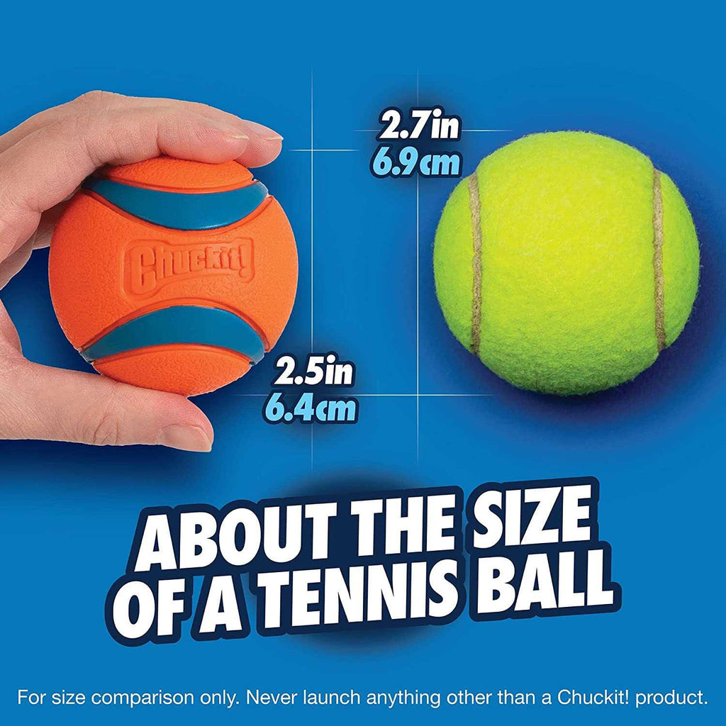 Dog Toy Ball in Canister H565