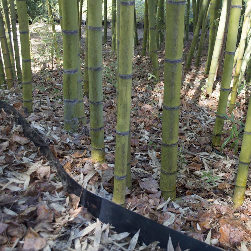 Bamboo Root Barrier 75 ft x 24 in x 60 Mil I4116