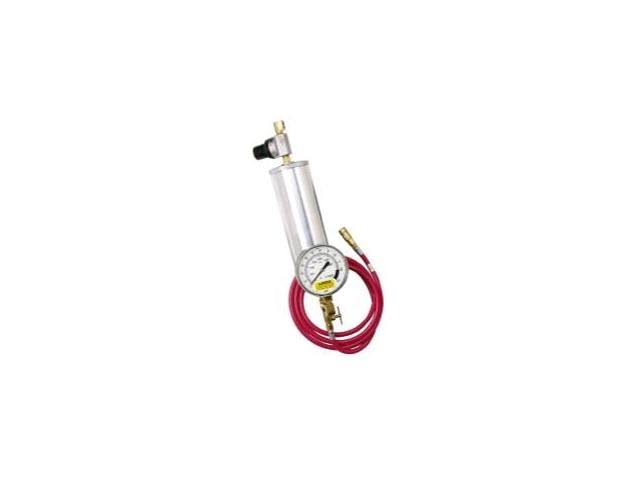 Fuel Injection Cleaner L2189