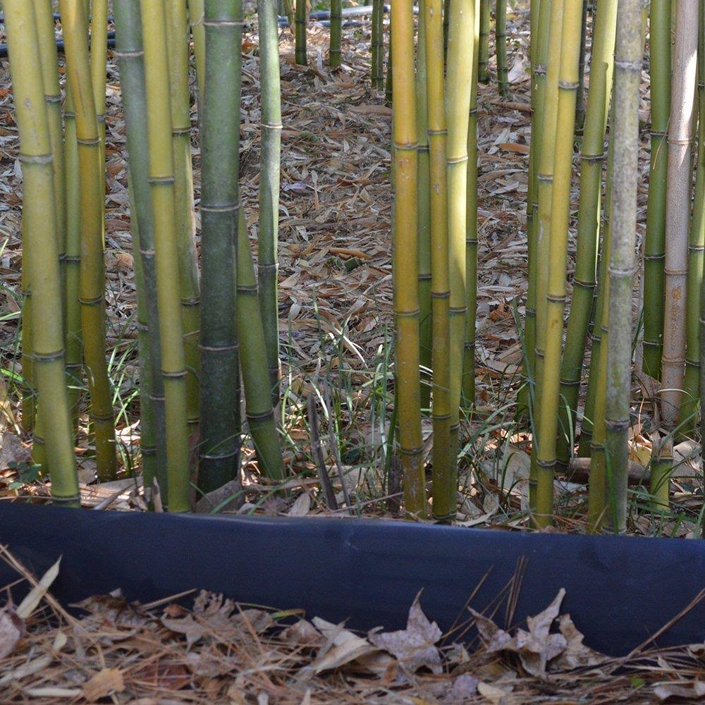 Bamboo Root Barrier 75 ft x 24 in x 60 Mil I4116