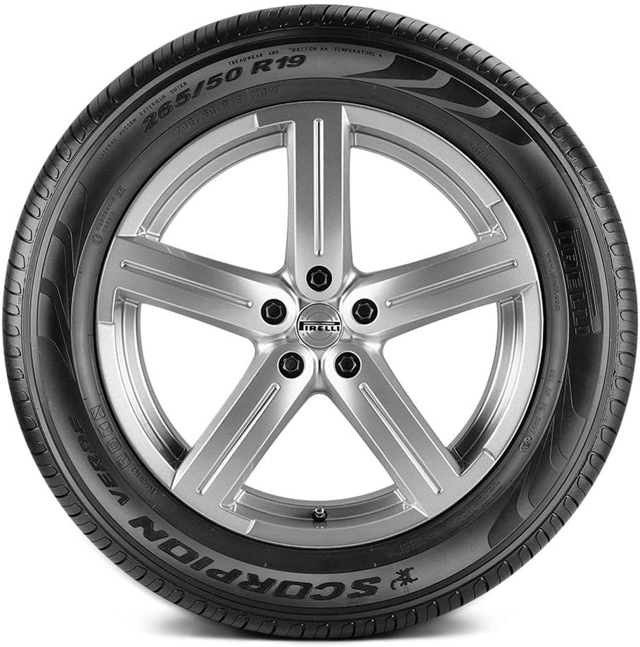 All-Season Radial Tire 235/55R19 101V R959