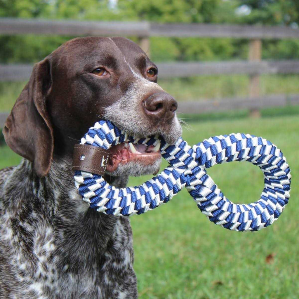 Braided Infinity Tug Toy for Dogs U6931