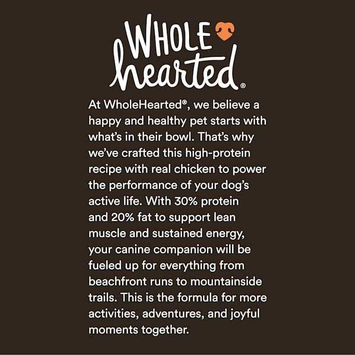 High-Protein Chicken & Rice Recipe Dry Dog Food J560387