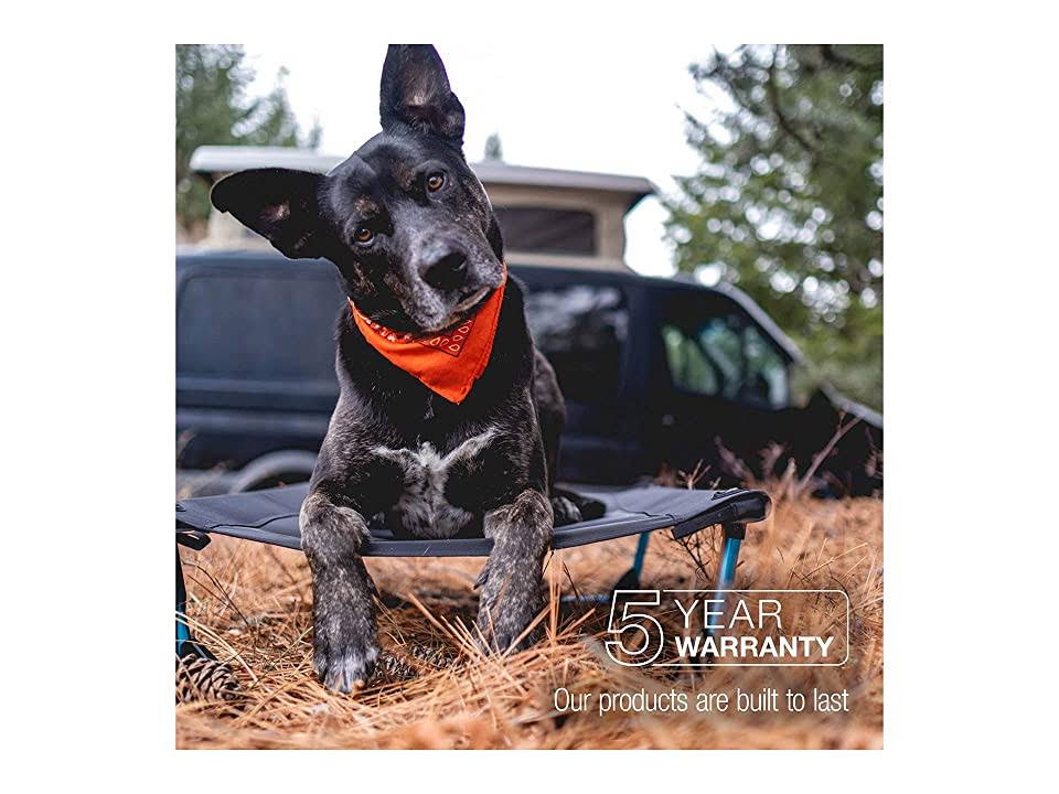 Dog Cot - Elevated - Black - L P57150