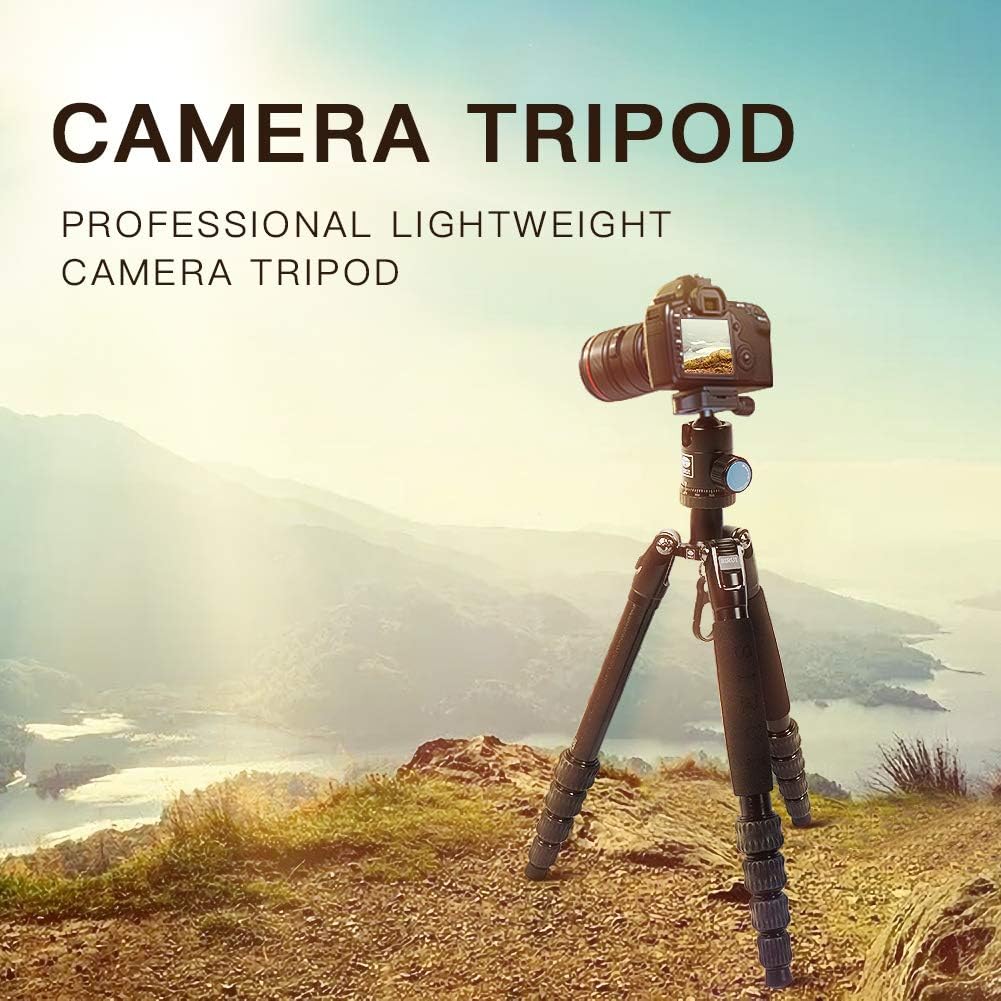 Compact Traveler Tripod with 360° Panorama Ball Head C895
