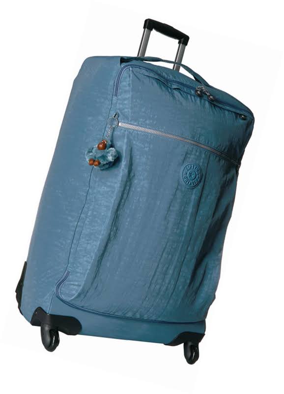 Blue Bird L handbag V5815