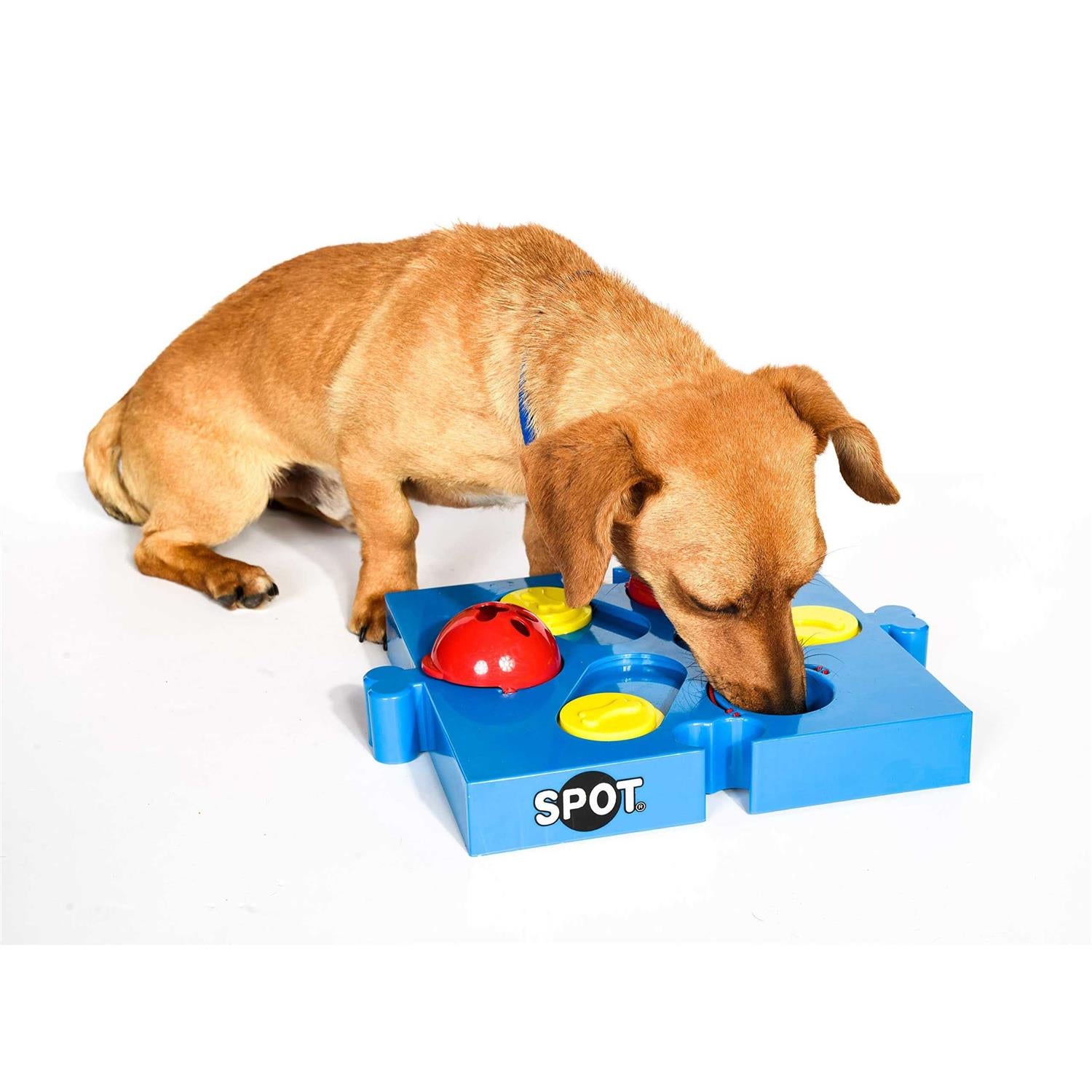Interactive Dog Puzzle Toy with Treat Dispenser W971