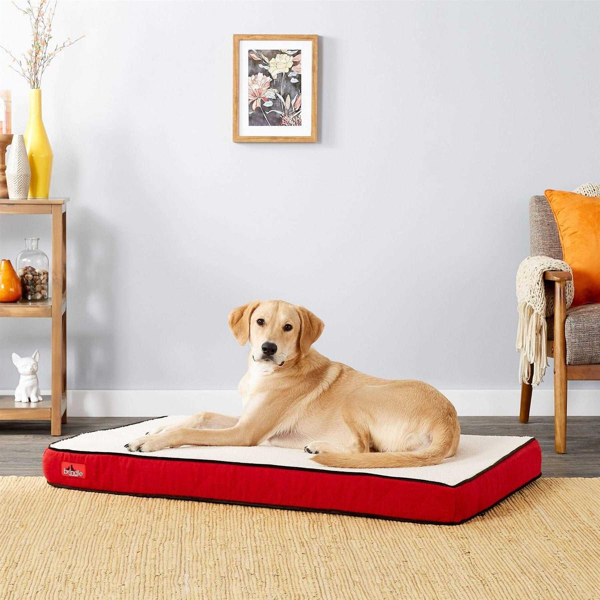 Waterproof Memory Foam Pet Bed B436