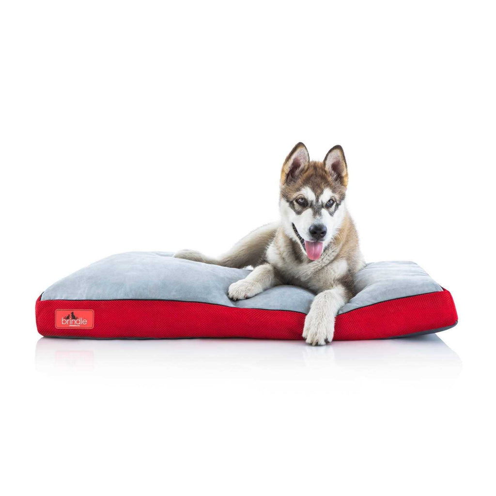 Soft Memory Foam Dog Bed with Removable Washable Cover T335
