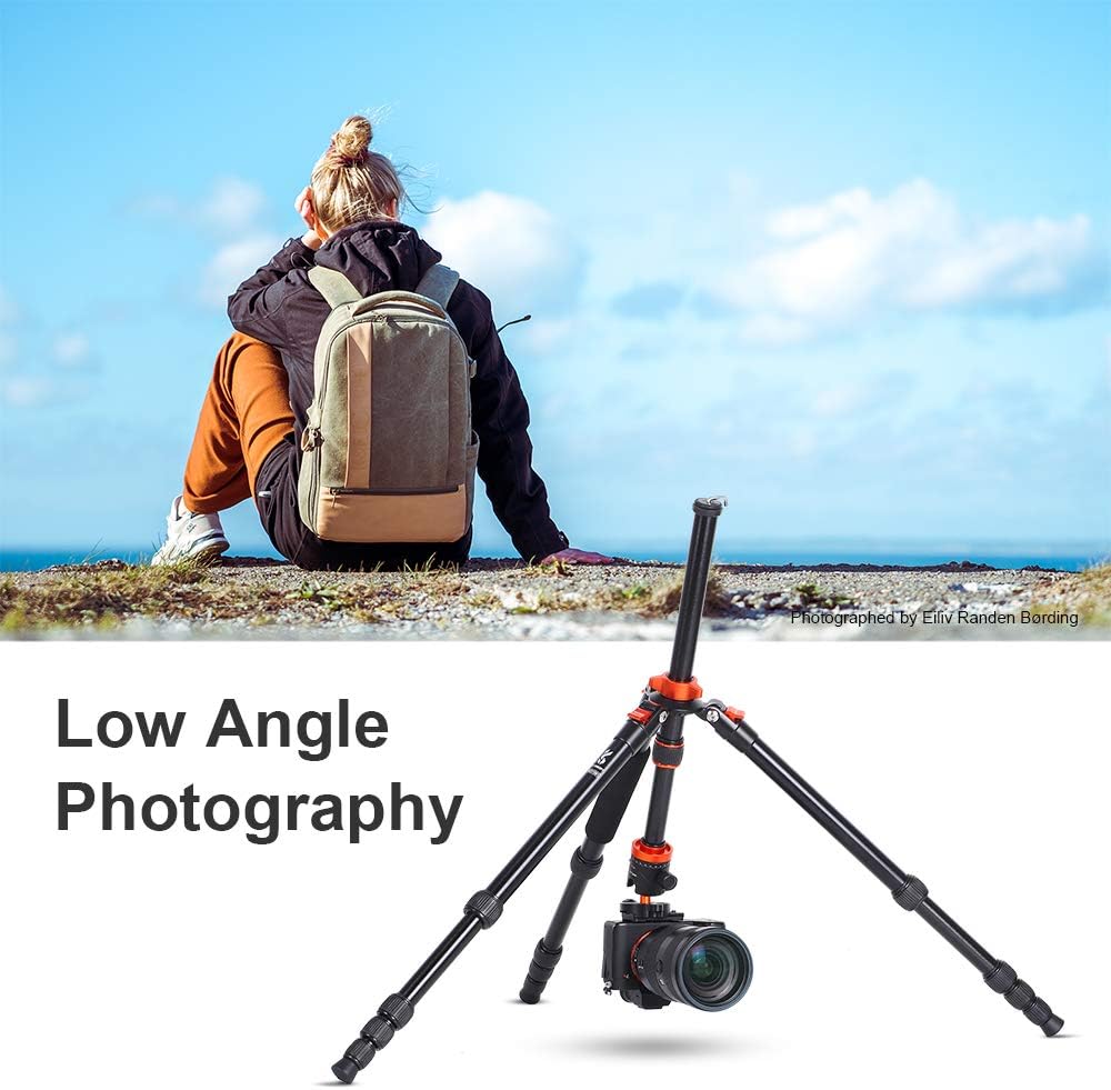 67 inch Travel Tripod with Monopod and Panorama Ball Head R5866