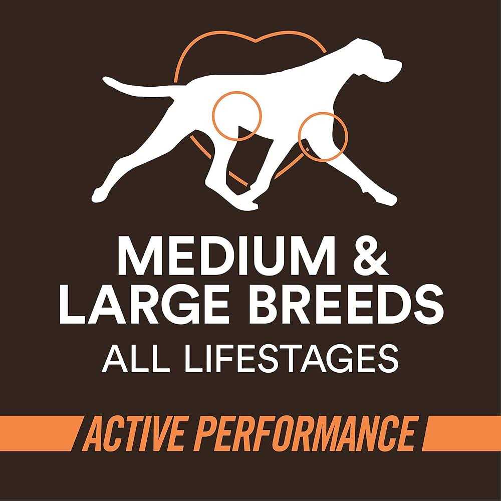 High-Protein Chicken & Rice Recipe Dry Dog Food J560387